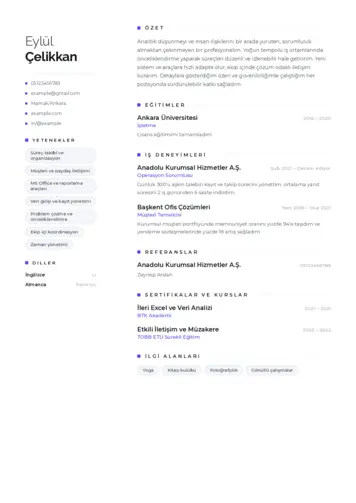  cv indir